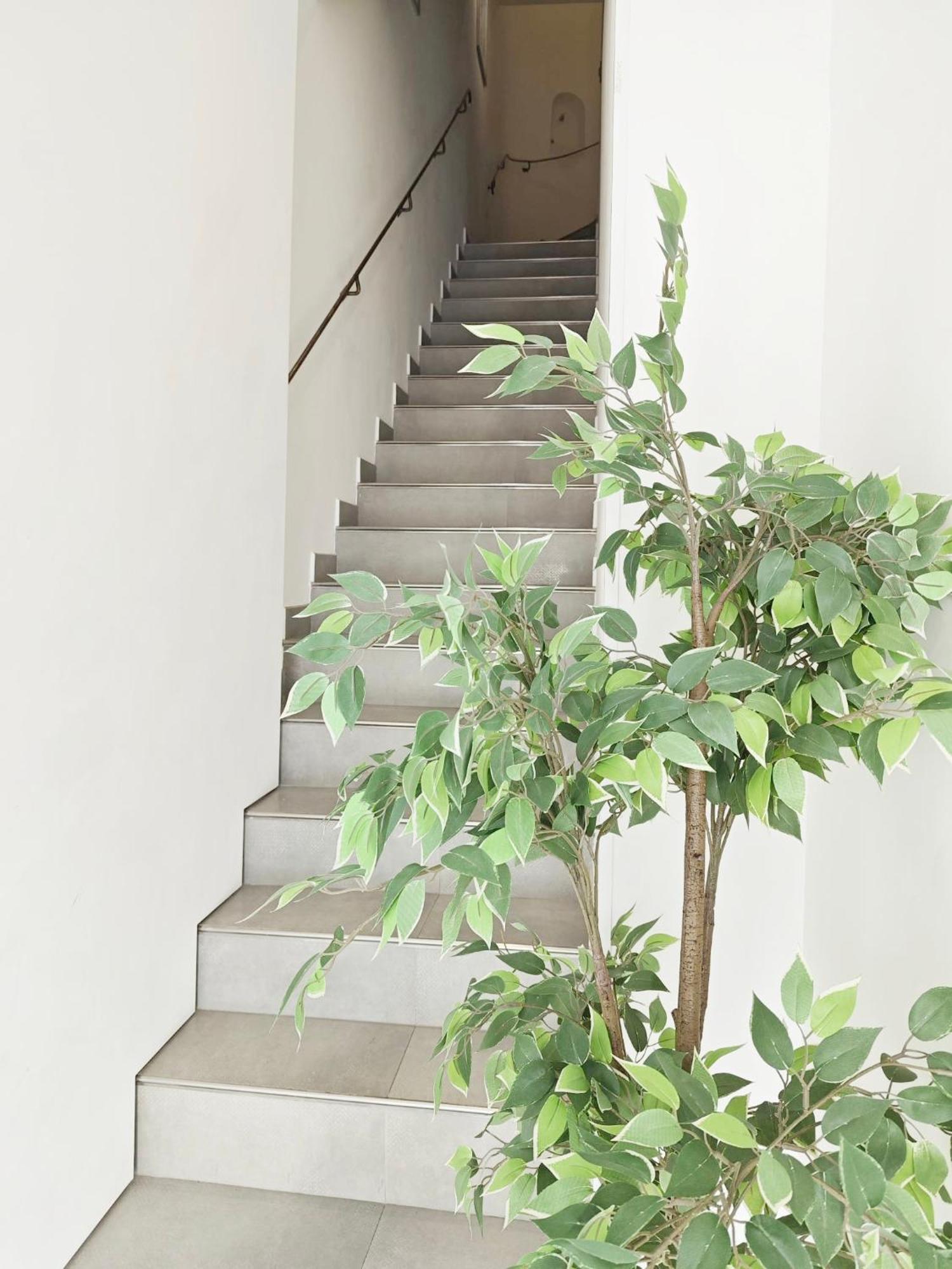 Cassis Loc - Chambre Meublee Εξωτερικό φωτογραφία